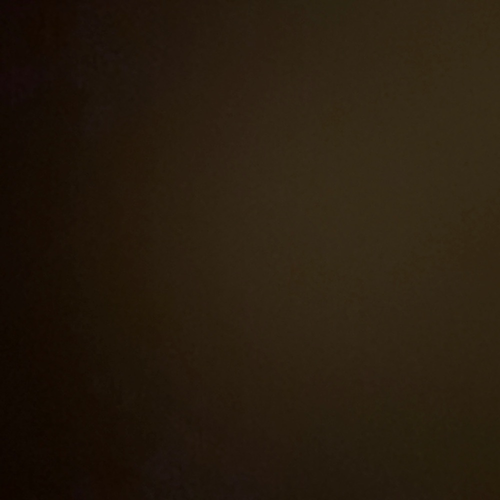 Meet your Posher, Rory